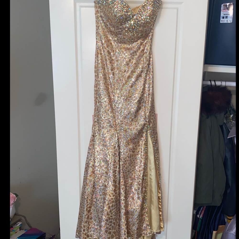 Panoply pageant/ evening gown